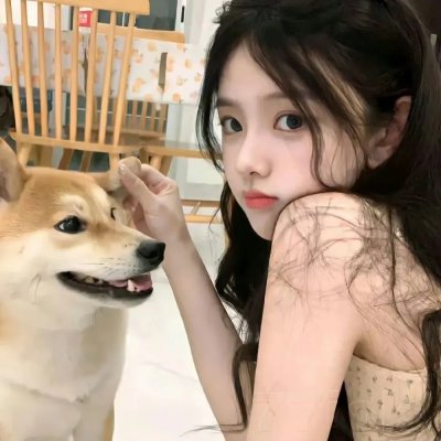 马达加斯加2:逃往非洲